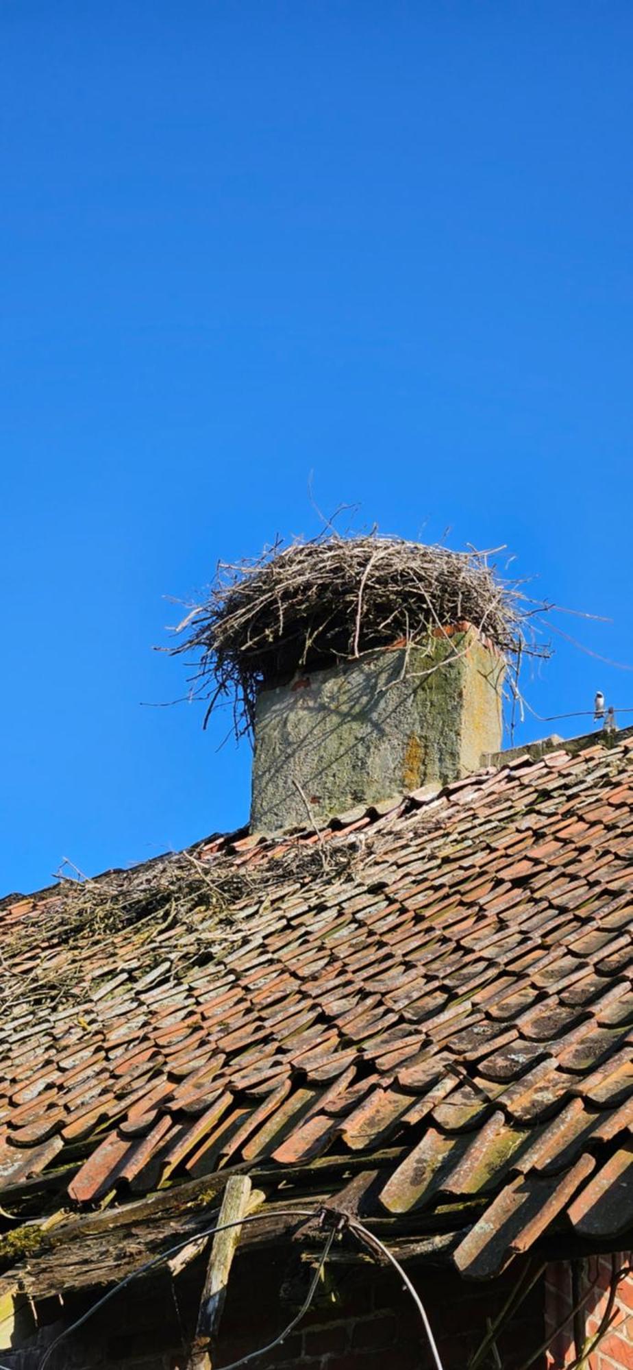 Oliwkowe Jerzykowo -Klimatyzacja Villa Radzieje Exteriör bild